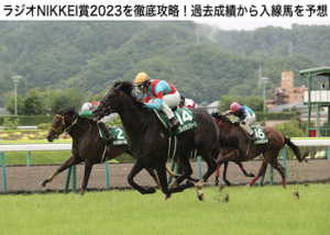 ラジオNIKKEI賞2023画像