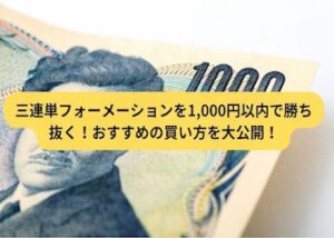 三連単フォーメーションを1,000円以内で勝ち抜く！おすすめの買い方を大公開！画像