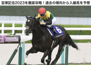 宝塚記念2023画像