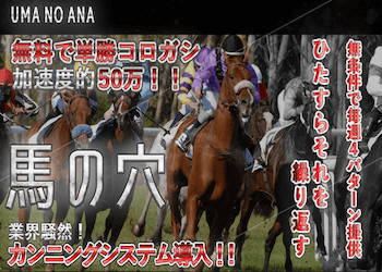 地方競馬の帝王画像