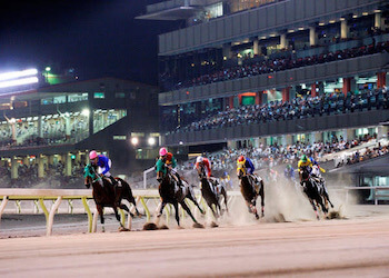 南関競馬のクラス分けとは？気になるポイントを徹底解説！画像