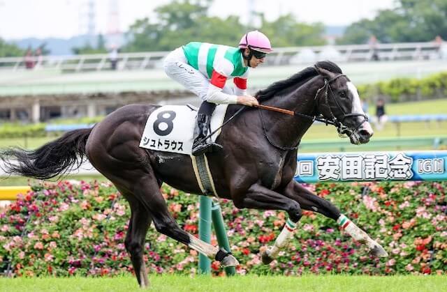 シュトラウス2歳新馬戦