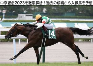 中京記念2023画像