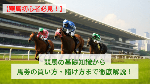 競馬の基礎知識から馬券の買い方・賭け方まで徹底解説