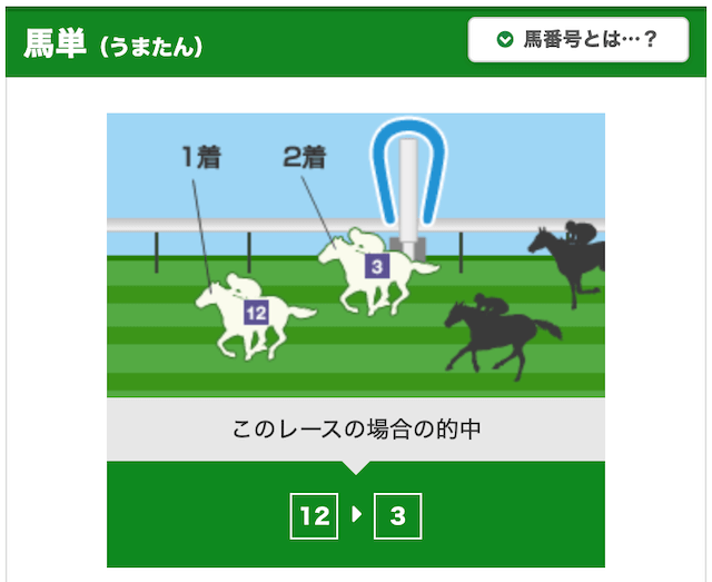 競馬初心者馬券の買い方【馬単】