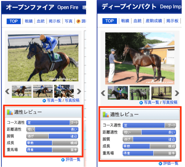 競馬の予想ファクター『血統』