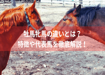 牡馬　牝馬