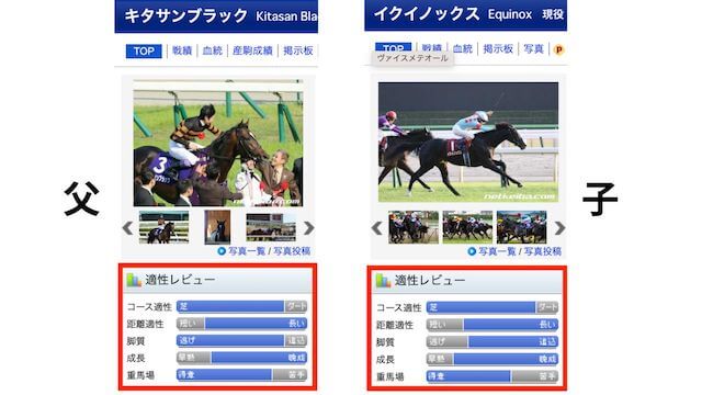 競馬予想の仕方-血統