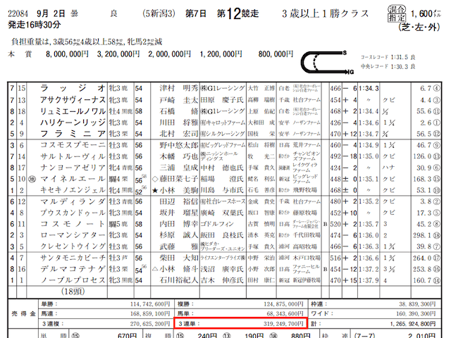 競馬裏街道2023年9月2日的中実績の捏造検証JRA売上金データ新潟12R