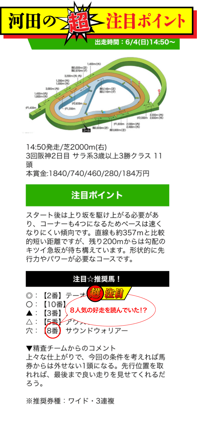 競馬モーカル2023年6月4日無料予想阪神10R河田ポイント