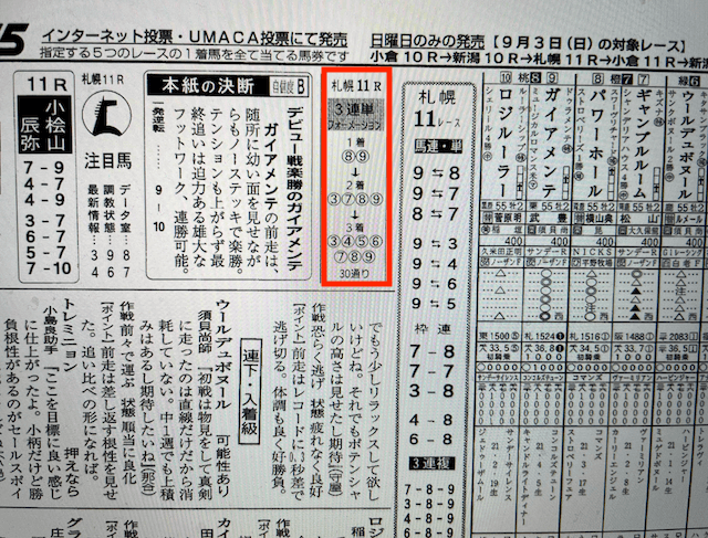 競馬センス2023年9月2日無料予想札幌11R某有名競馬新聞社A