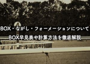 競馬における馬券の点数を調べる/BOX・流し・フォーメーション画像