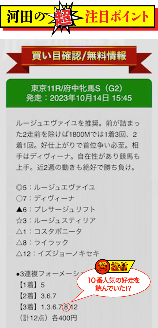 パワフル競馬2023年10月14日東京11R河田ポイント