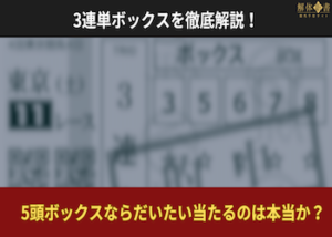 3連単ボックスを徹底解説！5頭ボックスならだいたい当たるのは本当か？画像