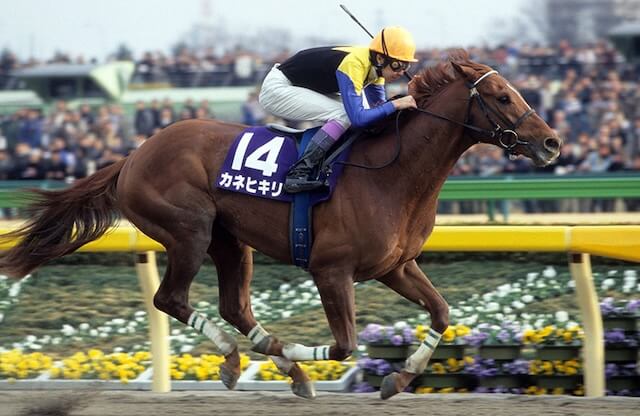 カネヒキリダート最強馬2位