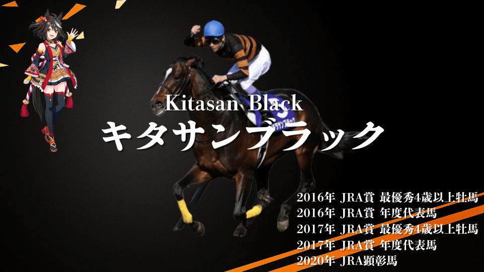 北島三郎所有のG17勝の最強馬キタサンブラックの紹介です!