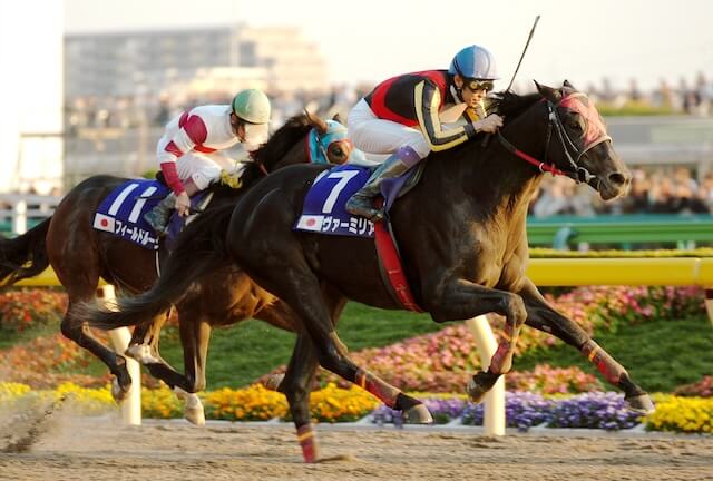 ヴァーミリアンダート最強馬3位