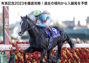 有馬記念2023画像