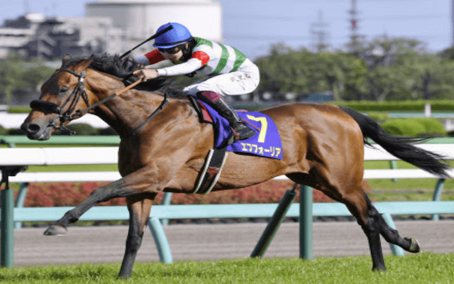 エフフォーリア