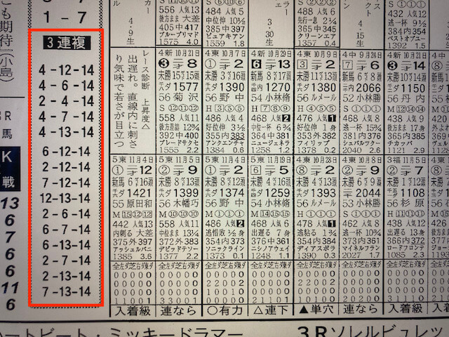 ハーレム競馬2023年11月26日東京3R競馬新聞予想