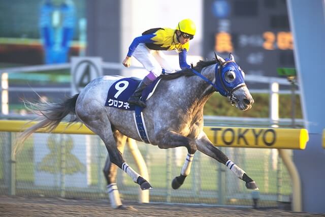 クロフネダート最強馬