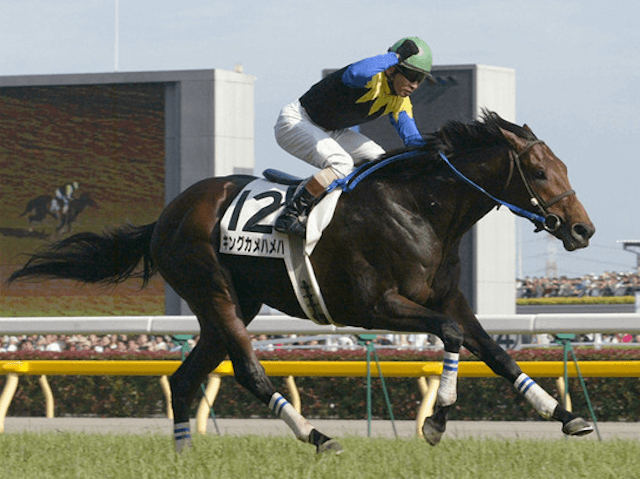 最強馬安藤勝己キングカメハメハ