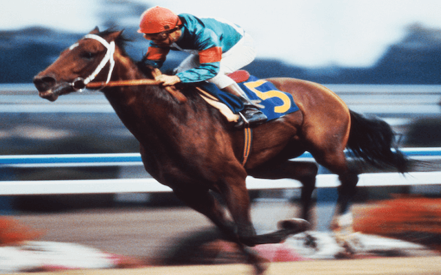 シンボリルドルフ