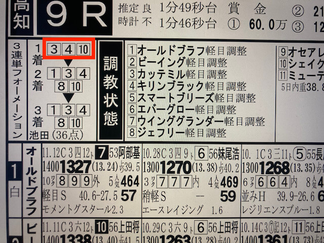 ドンピシャ2024年1月8日高知11R競馬新聞予想