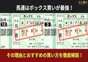 馬連はボックス買いが最強！その理由とおすすめの買い方を徹底解説！画像