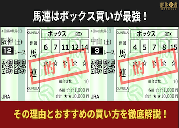 馬連はボックス買いが最強！その理由とおすすめの買い方を徹底解説！