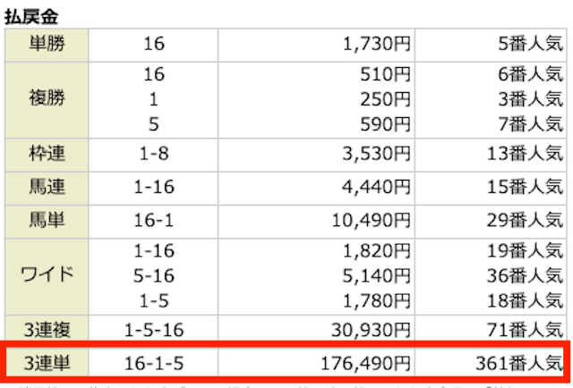 アイホース2023年11月19日京都11R結果