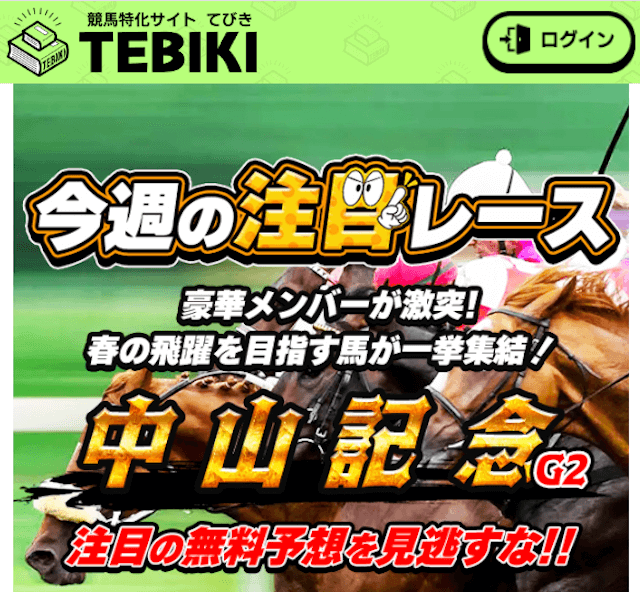 TEBIKI(テビキ)検証まとめ