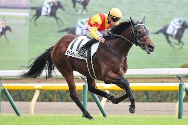 ジャスティンミラノ新馬戦