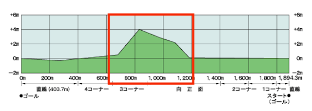 京都競馬場3200特徴