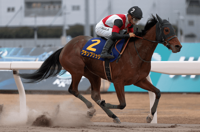 グランブリッジ全頭診断