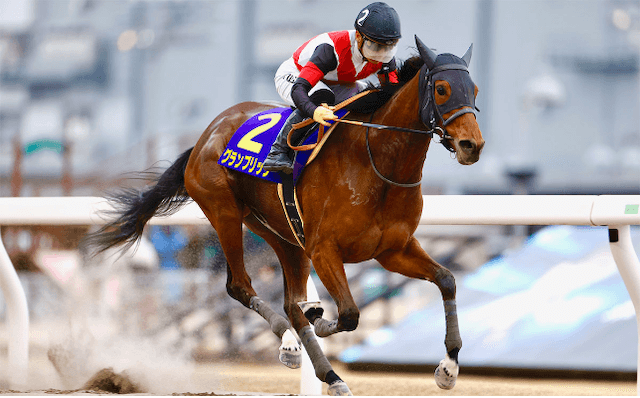 グランブリッジ帝王賞2024