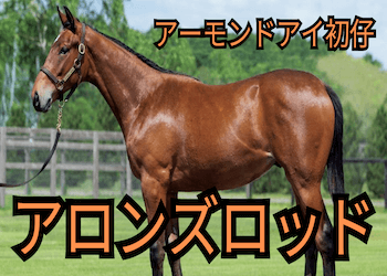 アロンズロッドの次走はどのレース！？現状の評価や出走予定のレースを