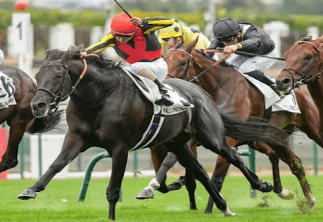 クロワデュノールプランスドランジュ賞