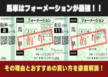 【完全攻略】馬単フォーメーションで最強の買い方をご紹介！画像