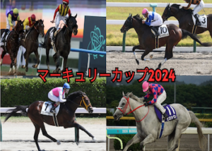 マーキュリーカップ(Jpn3)画像