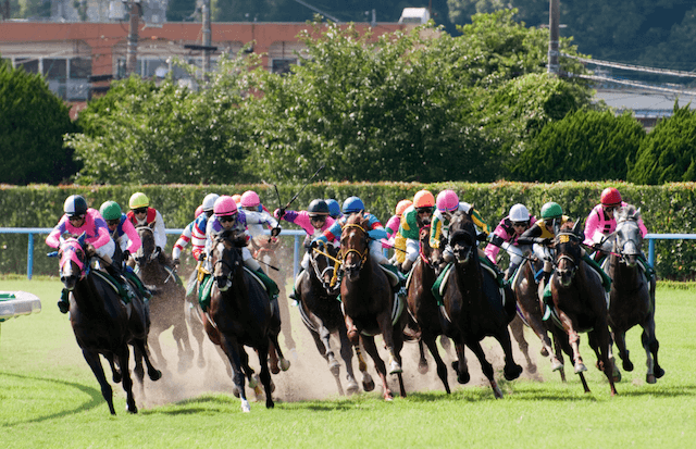 競馬レースの画像