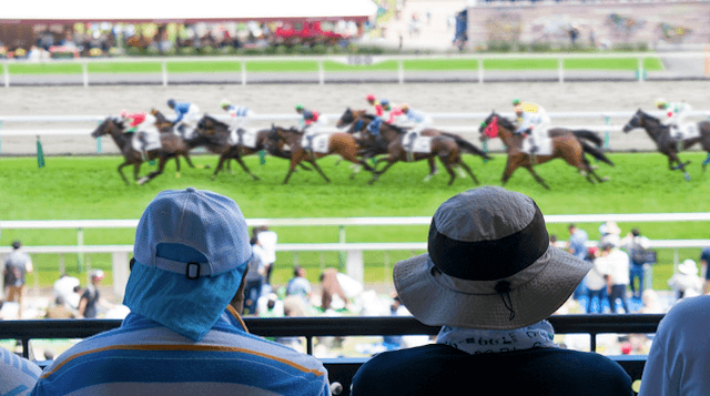 競馬に賭けている画像