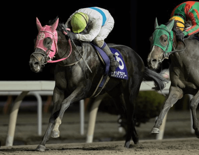 水沢競馬場あやめ賞画像