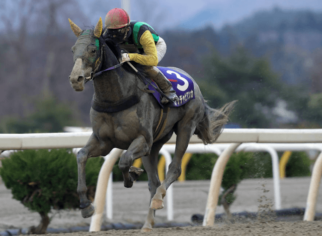 水沢競馬場スプリングカップ画像