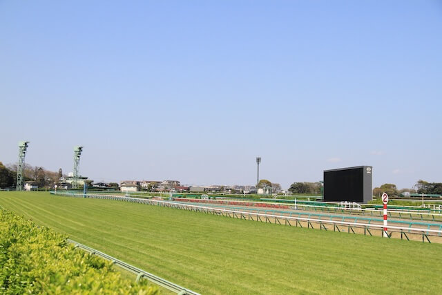 クッション値良馬場