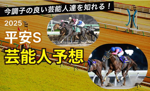 平安S2025TOP