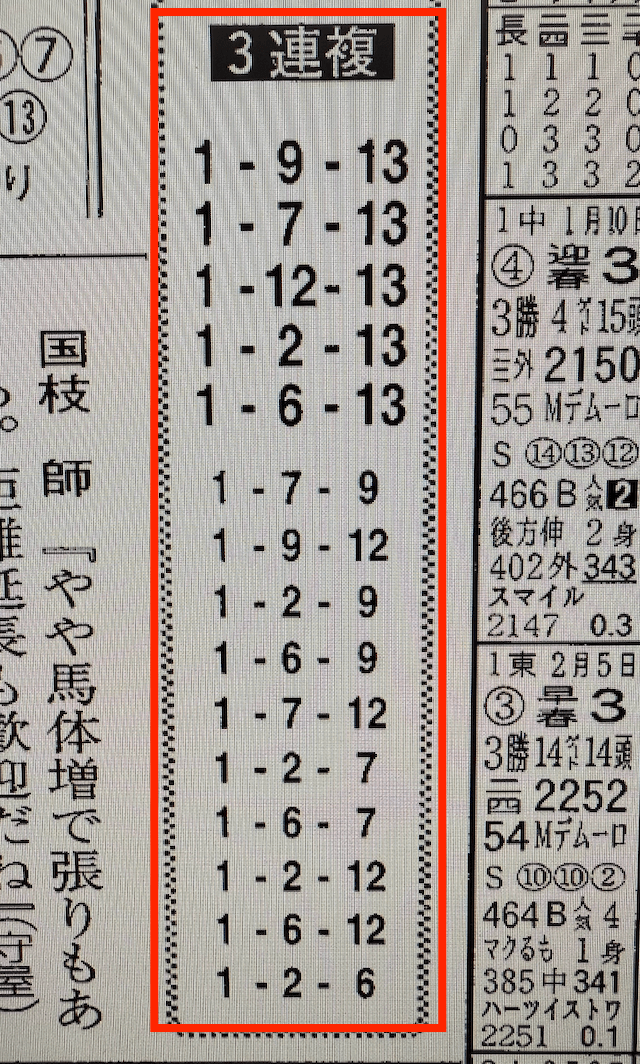 日刊競馬9_20221203-中山11R_競馬新聞画像