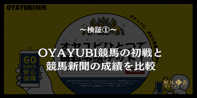 検証画像