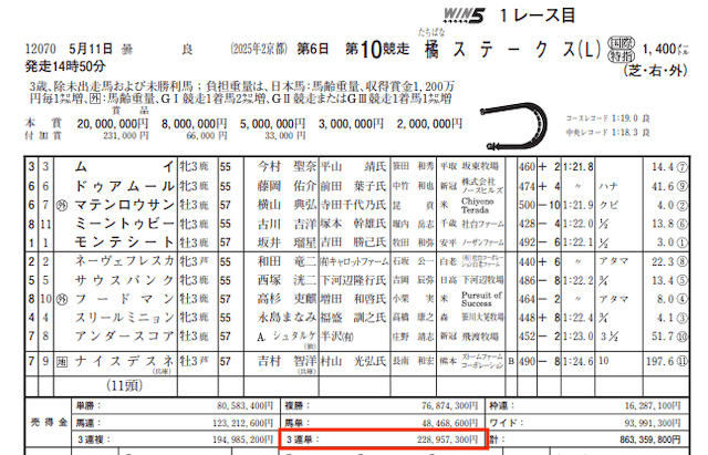 バビロン_20250511-kyoto10R_レース詳細画像