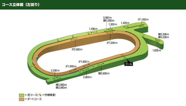 中京競馬場